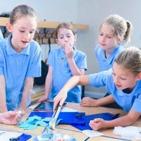 Children in a science lesson